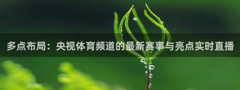 小九直播nba免费观看下载：多点布局：央视体育频道的最新赛事与亮点实时直播