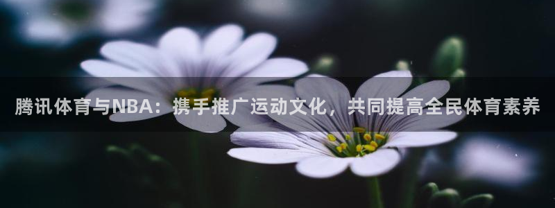 小九视频：腾讯体育与NBA：携手推广运动文化，共同提高全民体育素养