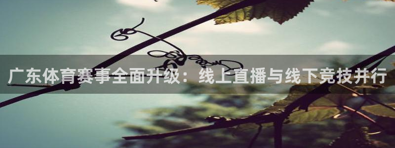 足球直播小九：广东体育赛事全面升级：线上直播与线下竞技并行